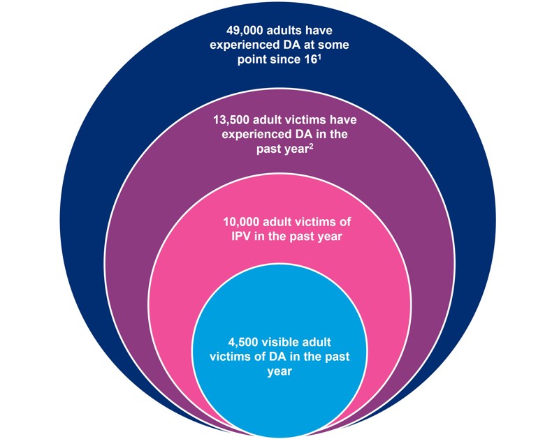 Number Of Victims Overview Safelives May 25